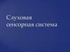 Слуховая сенсорная система
