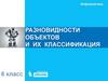Разновидности объектов и их классификация