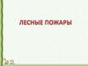 Лесные пожары
