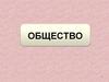 Общество. Что такое общество? Человечество в целом