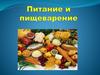 Питание и пищеварение