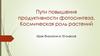 Пути повышения продуктивности фотосинтеза. Космическая роль растений. Урок биологии в 10 классе
