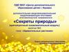«Секреты природы» (краткосрочный ознакомительный модуль)