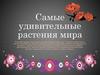 Самые удивительные растения мира