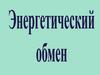 Энергетический обмен. Метаболизм (обмен веществ)