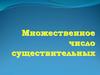 Множественное число существительных