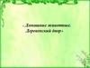 Домашние животные. Деревенский двор