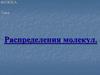Распределения молекул