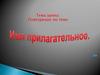 Имя прилагательное
