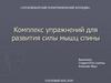 Комплекс упражнений для развития силы мышц спины