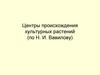Центры происхождения культурных растений (по Н. И. Вавилову)