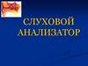 Слуховой анализатор