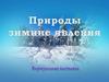Природы зимние явления. Снежинки