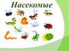 Насекомые