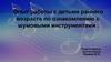 Опыт работы с детьми раннего возраста по ознакомлению с шумовыми инструментами
