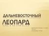Дальневосточный Леопард