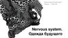 Nervous system. Одежда будущего
