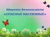 Опасные насекомые