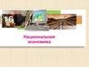 Национальное хозяйство