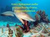 Класс Хрящевые рыбы