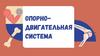 Опорно-двигательная система