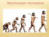Эволюция человека. Антропогенез