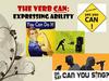 The verb Сan: expressing ability