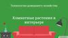 Комнатные растения в интерьере