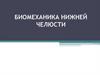 Биомеханика нижней челюсти