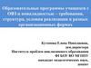 Образовательные программы учащихся с ОВЗ и инвалидностью – требования, структура, условия реализации в разных  формах