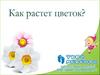 Как растет цветок
