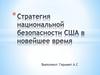 Стратегия национальной безопасности США в новейшее время