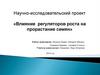 Влияние регуляторов роста на прорастание семян