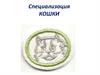 Специализация кошки