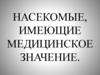 Насекомые, имеющие медицинское значение