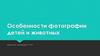 Фотосъемка детей и животных