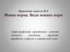 Мовна норма. Види мовних норм Орфографічний практикум. Практичне заняття № 4