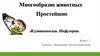 Простейшие. Жгутиконосцы, инфузории