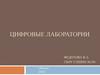 Цифровые лаборатории