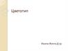 Определение личного цветотипа