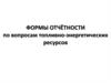 Формы отчётности по вопросам топливно-энергетических ресурсов