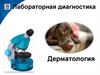Лабораторная диагностика. Дерматология