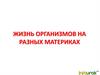 Жизнь организмов на разных материках