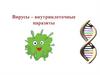 Вирусы – внутриклеточные паразиты