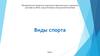 Виды спорта