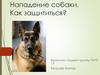 Нападение собаки. Как защититься?