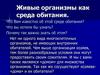 Живые организмы как среда обитания