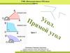 Угол. Виды углов. Прямой угол (2 класс)