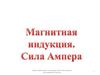 Магнитная индукция. Сила Ампера