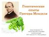 Генетические опыты Грегора Менделя